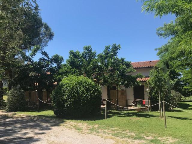 Villa Fattoria Il Duchesco Alberese Exterior foto